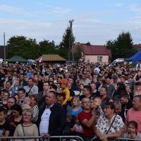 Zobacz w powiększeniu: Dożynki Powiatowe Baranów 2021 (27)